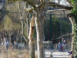Tiergarten Schönbrunn am 05.03.2026